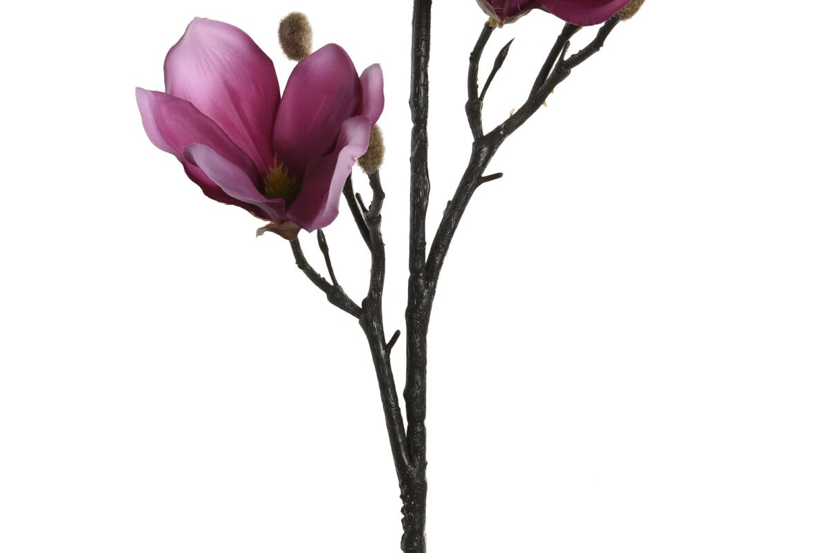 Декоративные цветы Magnolia Декоративные цветы Magnolia