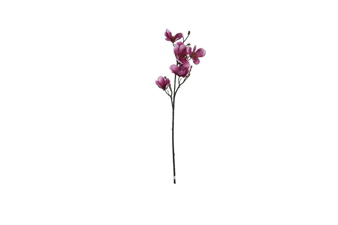 Декоративные цветы Magnolia Декоративные цветы Magnolia