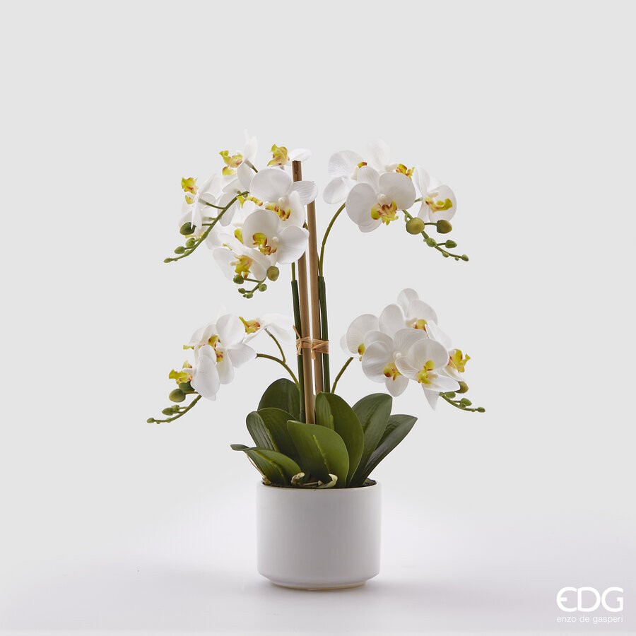 Декоративная Орхидея Phal White Green Декоративная Орхидея Phal White Green