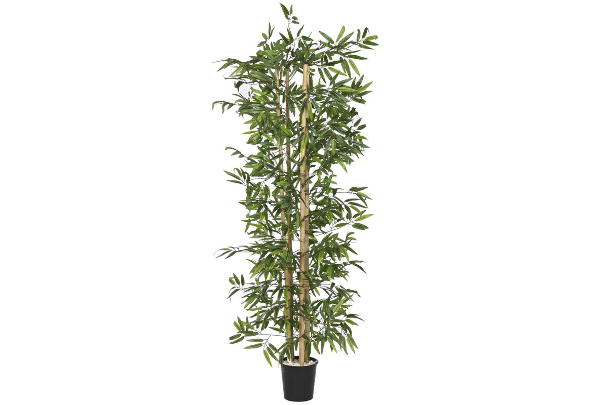 Декоративное дерево «BAMBOO» 180cm Декоративное дерево «BAMBOO» 180cm