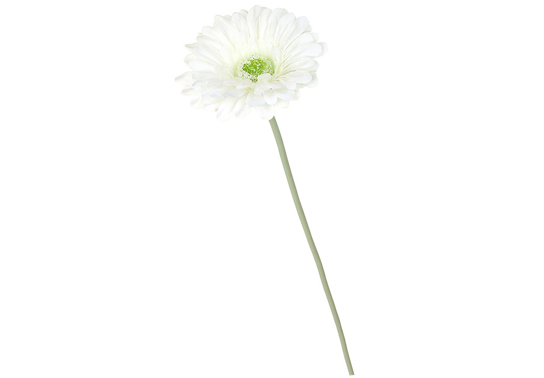 Gerberă 53 cm Gerberă 53 cm