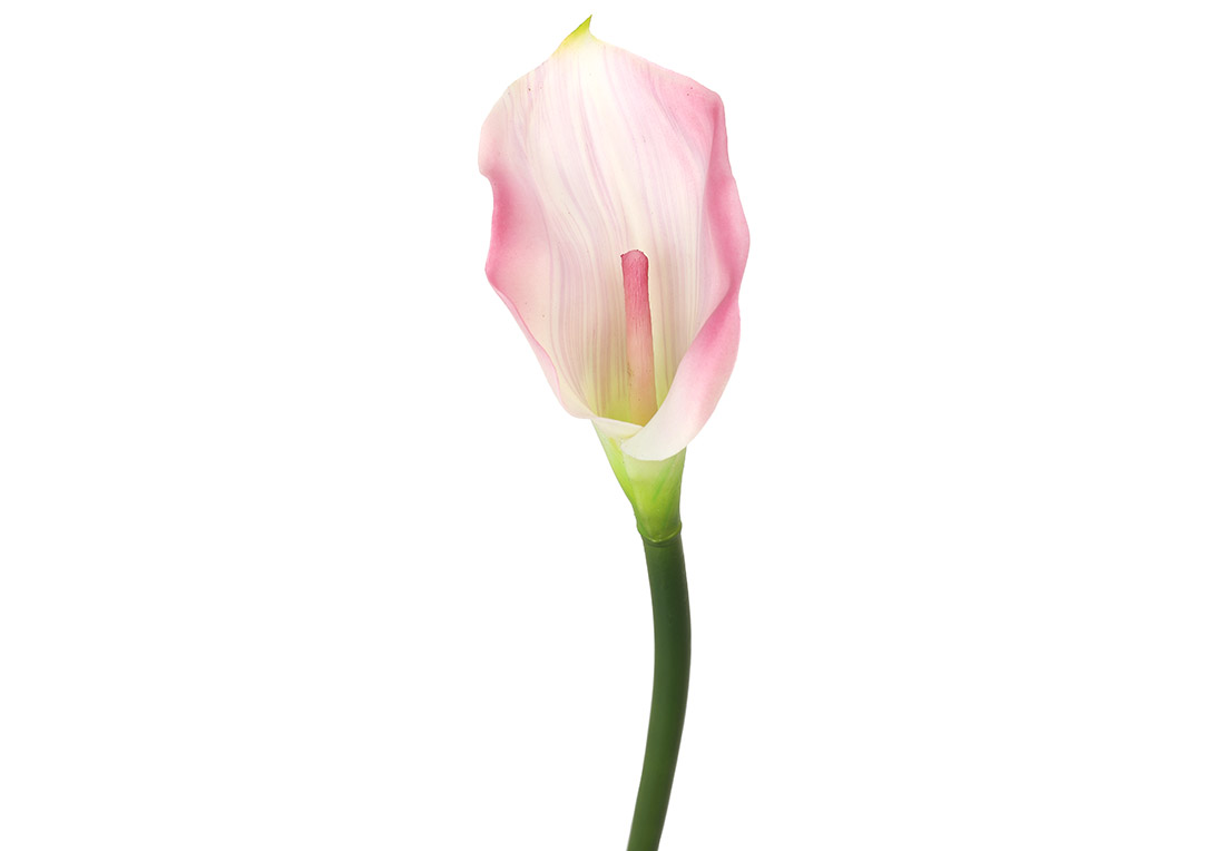 Floare decorativă de Calla roz, 30cm Floare decorativă de Calla roz, 30cm